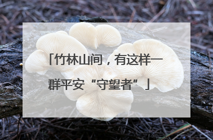 竹林山间，有这样一群平安“守望者”