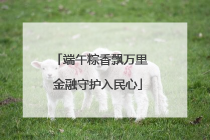 端午粽香飘万里 金融守护入民心
