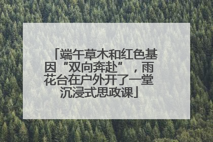 端午草木和红色基因“双向奔赴”，雨花台在户外开了一堂沉浸式思政课