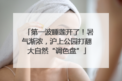 第一波睡莲开了！暑气渐浓，沪上公园打翻大自然“调色盘”