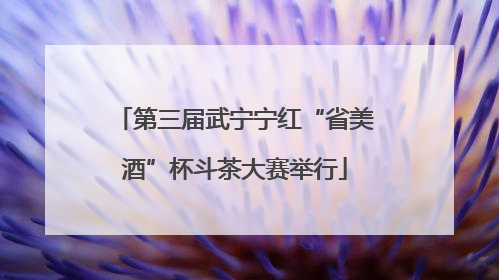 第三届武宁宁红“省美酒”杯斗茶大赛举行