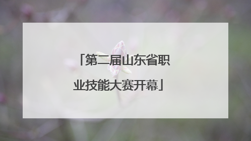 第二届山东省职业技能大赛开幕