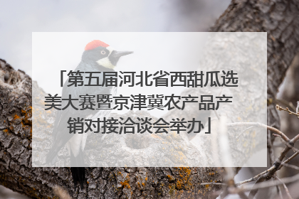 第五届河北省西甜瓜选美大赛暨京津冀农产品产销对接洽谈会举办