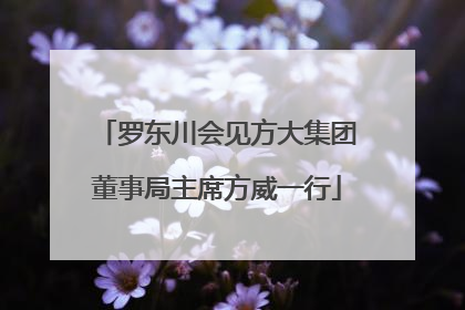 罗东川会见方大集团董事局主席方威一行