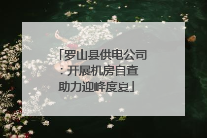 罗山县供电公司：开展机房自查 助力迎峰度夏