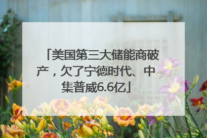 美国第三大储能商破产，欠了宁德时代、中集普威6.6亿