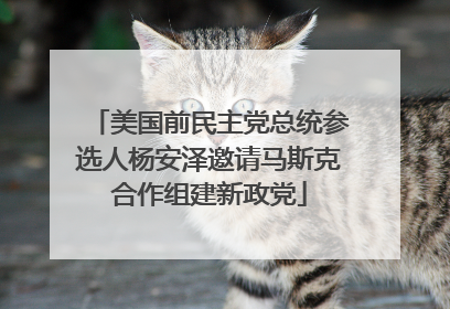 美国前民主党总统参选人杨安泽邀请马斯克合作组建新政党