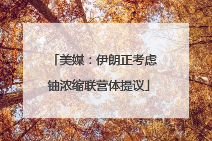美媒：伊朗正考虑铀浓缩联营体提议