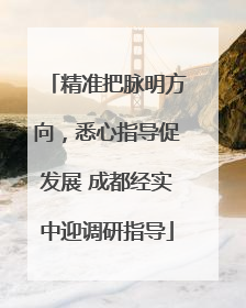 精准把脉明方向，悉心指导促发展 成都经实中迎调研指导