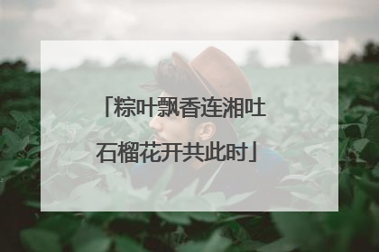 粽叶飘香连湘吐 石榴花开共此时