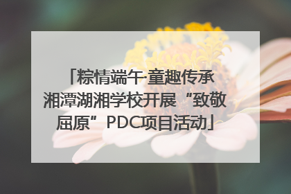 粽情端午·童趣传承 湘潭湖湘学校开展“致敬屈原”PDC项目活动