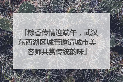 粽香传情迎端午，武汉东西湖区城管邀请城市美容师共赏传统韵味