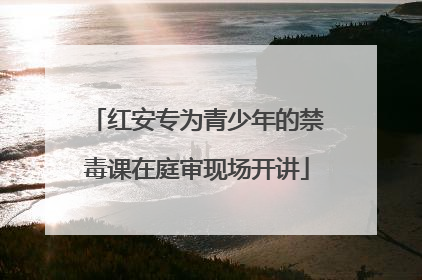 红安专为青少年的禁毒课在庭审现场开讲