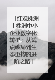 红观株洲丨株洲中小企业数字化转型：从试点破局到生态重构的进阶之路