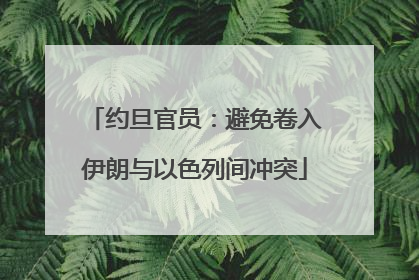 约旦官员：避免卷入伊朗与以色列间冲突