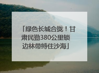 绿色长城合拢！甘肃民勤380公里锁边林带缚住沙海
