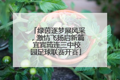 绿茵逐梦展风采，激情飞扬启新篇 宜宾筠连三中校园足球联赛开赛