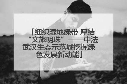 细织湿地绿带 厚结“文旅明珠”——中法武汉生态示范城挖掘绿色发展新动能