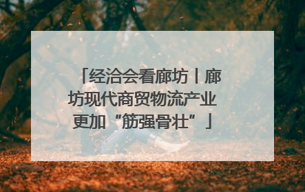 经洽会看廊坊丨廊坊现代商贸物流产业更加“筋强骨壮”