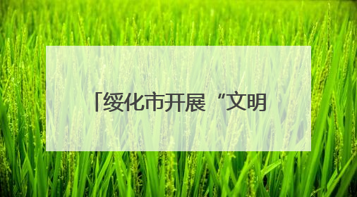 绥化市开展“文明交通 志愿同行”擦亮城市名片活动