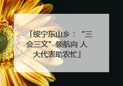 绥宁东山乡：“三会三文”领航向 人大代表助农忙