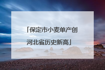 保定市小麦单产创河北省历史新高