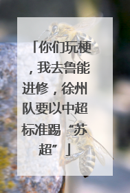 你们玩梗，我去鲁能进修，徐州队要以中超标准踢“苏超”