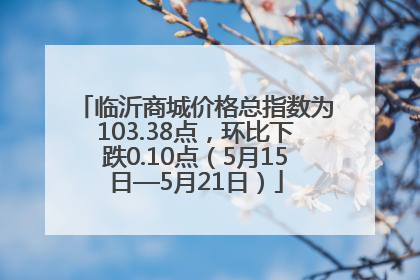 临沂商城价格总指数为103.38点，环比下跌0.10点（5月15日—5月21日）