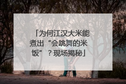 为何江汉大米能煮出“会跳舞的米饭”？现场揭秘