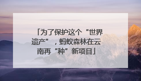为了保护这个“世界遗产”，蚂蚁森林在云南再“种”新项目