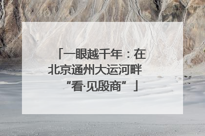 一眼越千年：在北京通州大运河畔“看·见殷商”