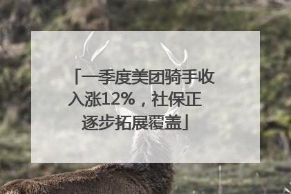 一季度美团骑手收入涨12%，社保正逐步拓展覆盖