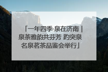 一年四季·泉在济南｜泉茶雅韵共芬芳 趵突泉名泉茗茶品鉴会举行