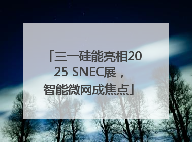 三一硅能亮相2025 SNEC展，智能微网成焦点