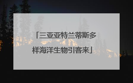 三亚亚特兰蒂斯多样海洋生物引客来