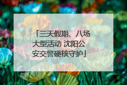 三天假期、八场大型活动 沈阳公安交警硬核守护