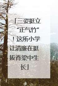 三姿挺立“正气竹”！这所小学让清廉在挺拔脊梁中生长