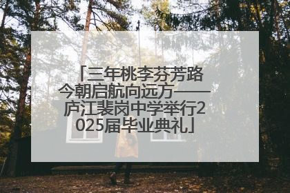 三年桃李芬芳路 今朝启航向远方——庐江裴岗中学举行2025届毕业典礼