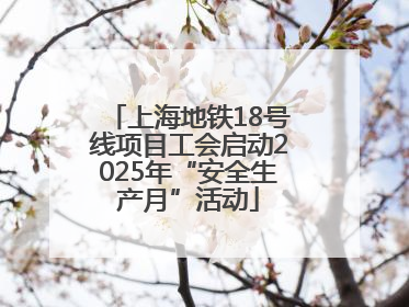 上海地铁18号线项目工会启动2025年“安全生产月”活动