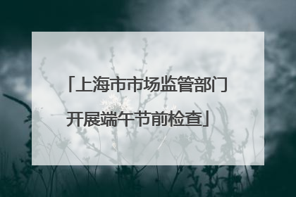 上海市市场监管部门开展端午节前检查