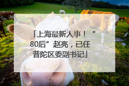 上海最新人事！“80后”赵亮，已任普陀区委副书记