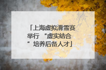 上海虚拟滑雪赛举行 “虚实结合”培养后备人才