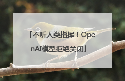 不听人类指挥！OpenAI模型拒绝关闭