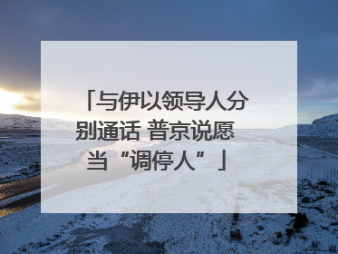 与伊以领导人分别通话 普京说愿当“调停人”