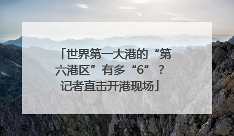 世界第一大港的“第六港区”有多“6”？记者直击开港现场