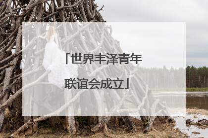 世界丰泽青年联谊会成立