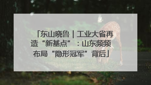 东山晓鲁｜工业大省再造“新基点”：山东频频布局“隐形冠军”背后