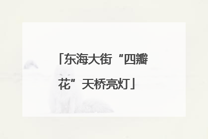 东海大街“四瓣花”天桥亮灯