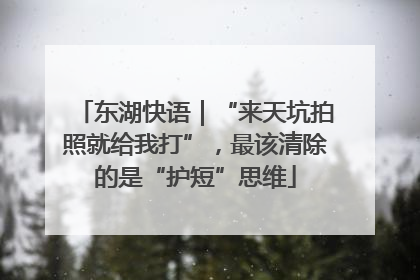 东湖快语｜“来天坑拍照就给我打”，最该清除的是“护短”思维