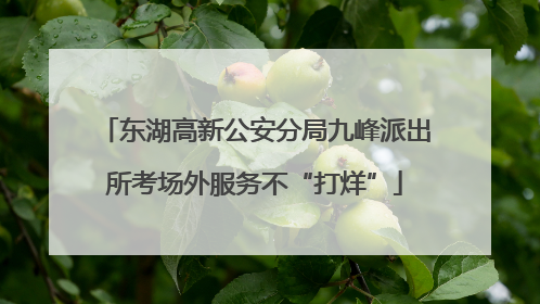 东湖高新公安分局九峰派出所考场外服务不“打烊”